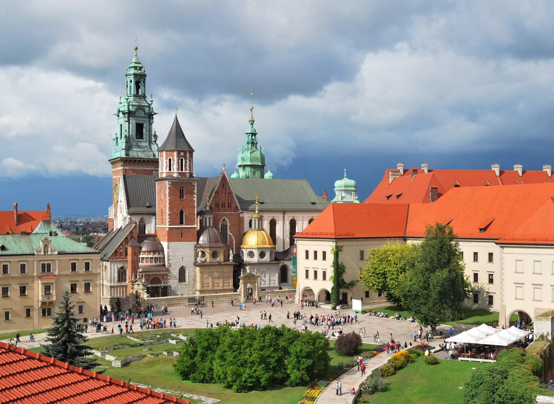 drzewa i budynki w mieście